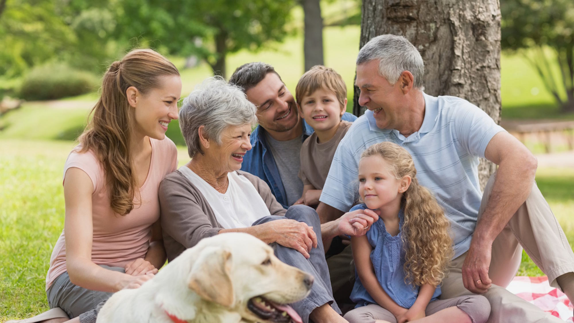 Couple sitting together on couch looking at laptop